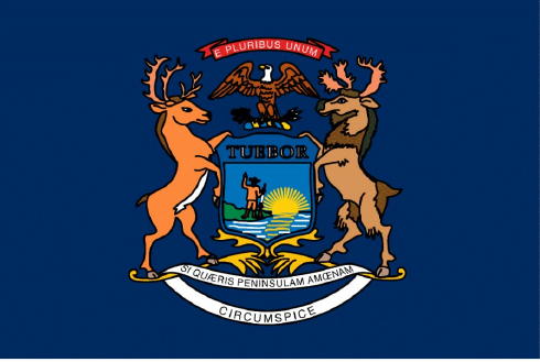 mi_flag_s.jpg