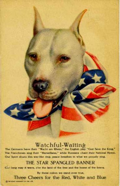 wwi_apbt_2.jpg