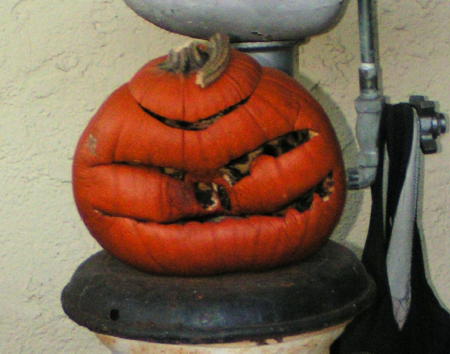 xmaspumpkin.jpg